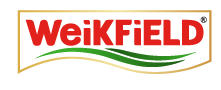 Logo 02