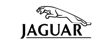 Logo 15