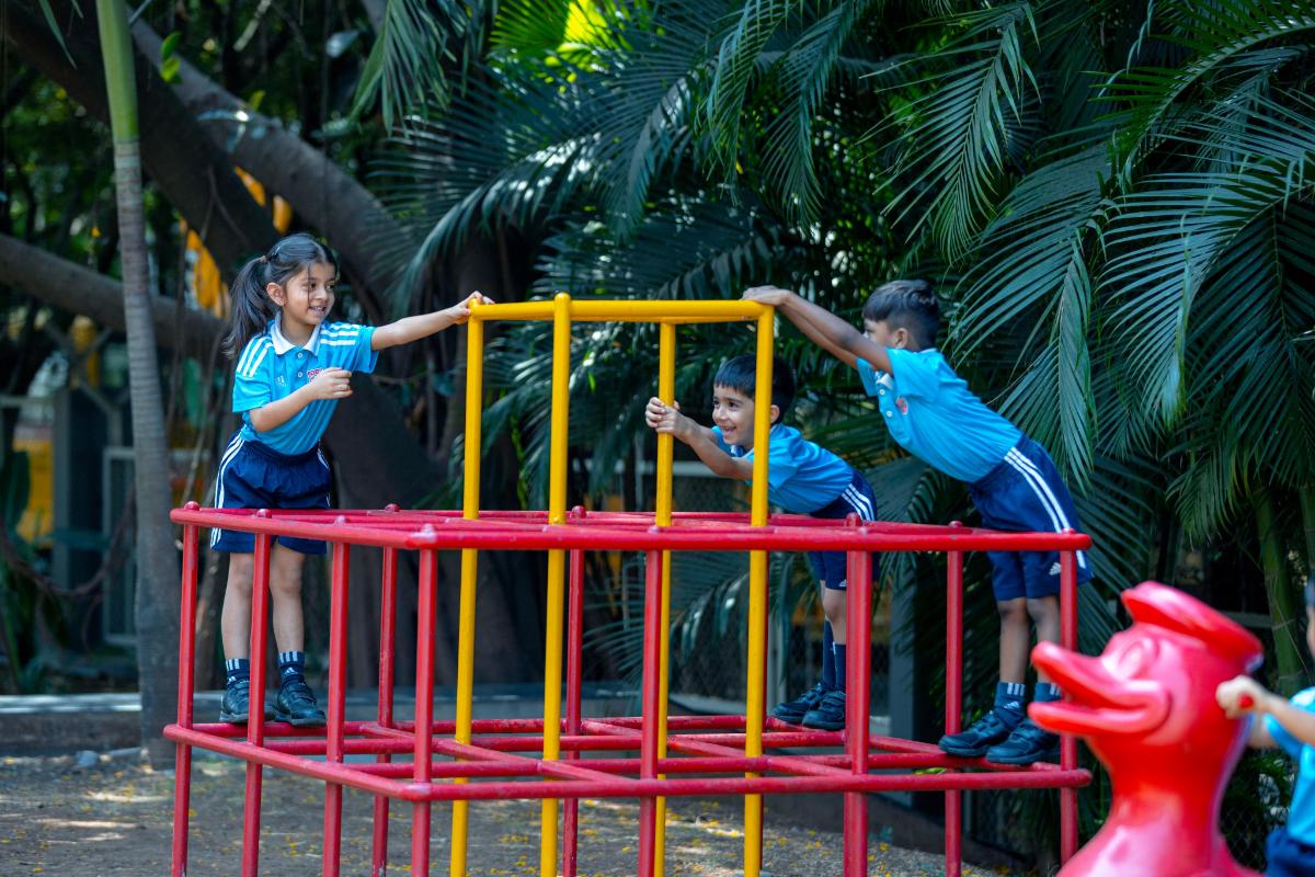 Outdoor Activity Frame